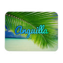 Suche nach anguilla magnete Strand