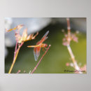 Suche nach reinheit poster Glück