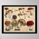 Suche nach braunes altes papier poster Vintag