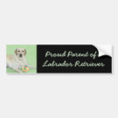 Suche nach labrador retriever autoaufkleber Welpe