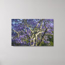 Suche nach jacaranda poster Neu