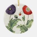 Suche nach mohnblume ornamente Botanisch
