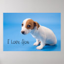 Suche nach tieraugen poster Hund