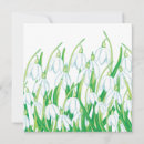 Suche nach schneeglöckchen karten Blume