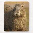 Suche nach brasilien mousepads Südamerika