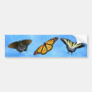 Suche nach weißer tiger autoaufkleber Natur