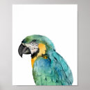Suche nach ara papagei poster Vogelkunst