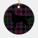 Suche nach gordon ornamente Setter