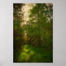 Suche nach waldlandschaft poster Grün