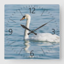 Suche nach swan poster Graceful