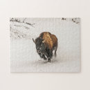 Suche nach bison puzzle Wildtiere