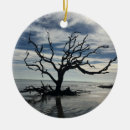 Suche nach toter baum ornamente Bäume