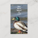 Suche nach tiervisitenkarte Natur