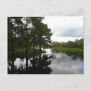 Suche nach everglades poster Zypresse