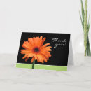 Suche nach orange gerbera alle karten Für sie