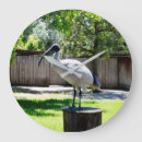 Suche nach perch poster Vogelvogel