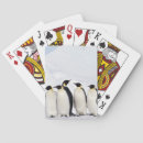Suche nach kaiser spielkarten Pinguine