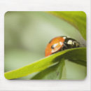 Suche nach marienkäfer mousepads Horizontal