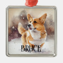 Suche nach pembroke welsh corgi ornamente Urlaub