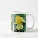 Suche nach rosa iris tassen Lila