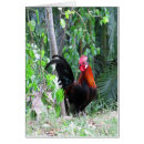 Suche nach chook postkarten Hahn