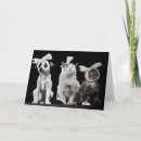 Suche nach gute arbeit karten Hund