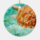 Suche nach meeresschildkröte ornamente Schildkrötenschmuck