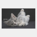 Suche nach graue katzen aufkleber Haustier