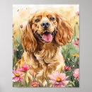 Suche nach cocker spaniel hund poster Für haustiere