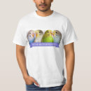 Suche nach budgerigars Papageien