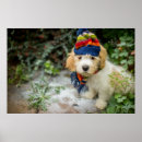 Suche nach welpen poster Haustier