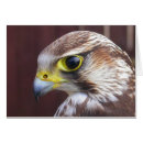 Suche nach raubvögel karten Jäger