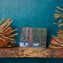 Suche nach wolf fotoplatten Wald
