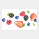 Suche nach beeren aufkleber Heidelbeere