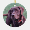 Suche nach schokoladen ornamente Hunde