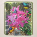 Suche nach amaryllis poster Rosa
