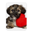 Suche nach dog lover karten Bezaubernd
