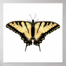 Suche nach schmetterling poster Wildtiere