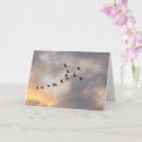 Suche nach im flug karten Inspirierend