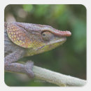 Suche nach kaltblütig aufkleber Tierwelt