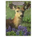 Suche nach draußen klemmbrett Ruhe