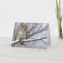 Suche nach raubvogel karten Opfer