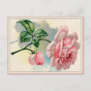 Suche nach rosa und grau postkarten Blume