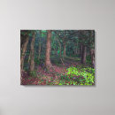 Suche nach herbstwald leinwandbilder Im freien