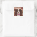 Suche nach englisch aufkleber Englisch springer spaniel