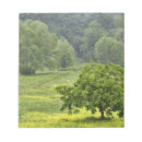 Suche nach feld notizblock Grün