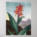 Suche nach indische poster Blume