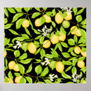 Suche nach lemon tree poster Blume