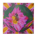 Suche nach hummel fliesen Natur