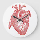 Suche nach anatomie wanduhren Vintag